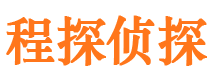 龙泉驿侦探公司